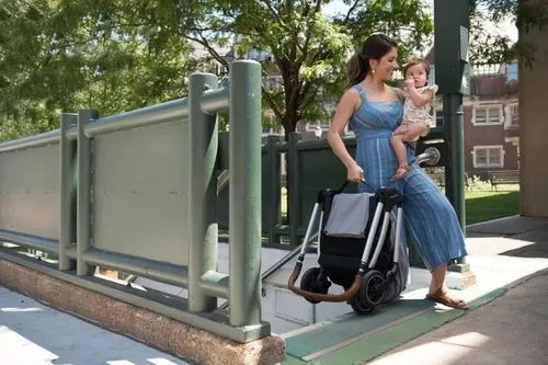 cumpără Сărucior pentru copii Nuna ST12000CHEGL Triv Chestnut în Chișinău 