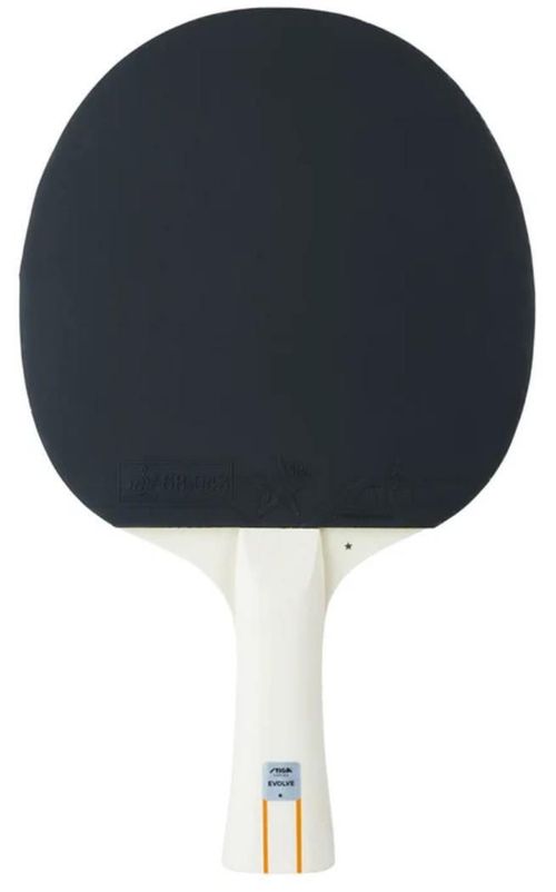 cumpără Articol de tenis Stiga 1211-8318-01 Bat Evolve 1-Star în Chișinău 