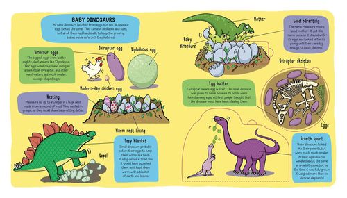 купить Little Explorers: Dinosaurs в Кишинёве 