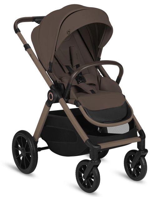 купить Детская коляска Lionelo Carucior 2in1 Layla Beige Taupe в Кишинёве 