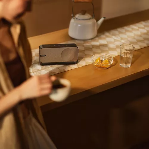 купить Колонка портативная Bluetooth Bose SoundLink Home, Silver в Кишинёве 