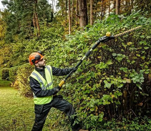 cumpără Foarfece pentru arbuști DeWalt DCMPH566N-XJ de tuns gard viu telescopica, 18V, fara ac-tor în Chișinău 