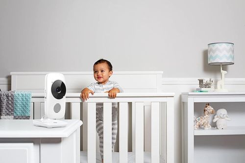 cumpără Monitor bebe Motorola MBP483 (Baby monitor) în Chișinău 