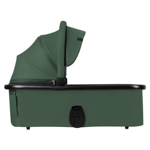 купить Детская коляска Lionelo Carucior 2in1 Layla Green Forest в Кишинёве 