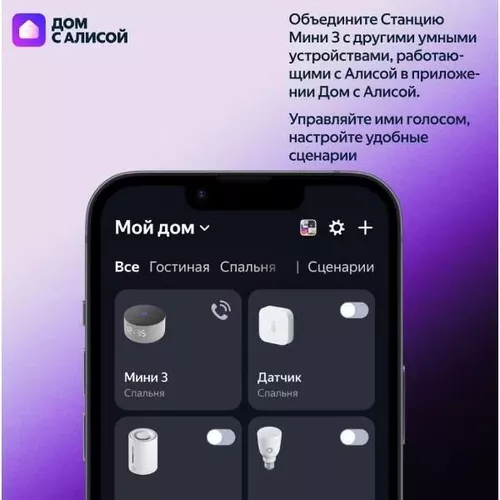 купить Колонка портативная Bluetooth Yandex YNDX-00027TRQ Alisa Station Mini 3 Turquoise в Кишинёве 