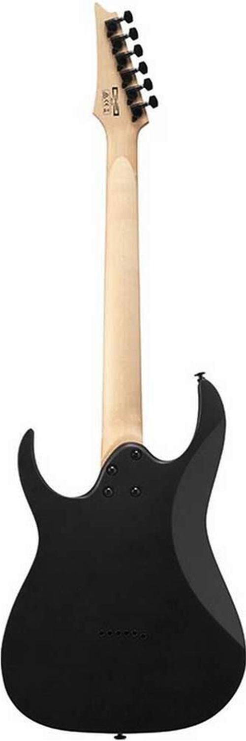 купить Гитара Ibanez GRGR131EX-BKF (Black Flat)  electric в Кишинёве 