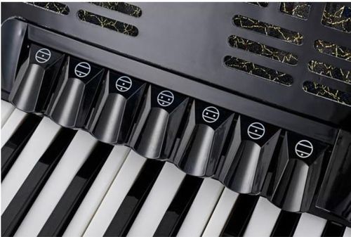 купить Цифровое пианино Startone Piano Accordion 96 Black MKII в Кишинёве 