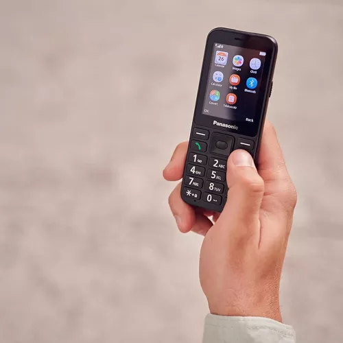 cumpără Telefon mobil Panasonic KX-TU250EXB în Chișinău 