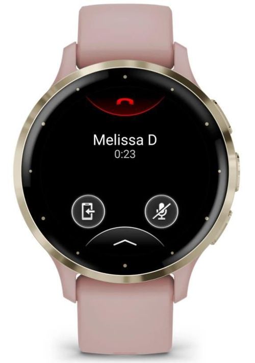 купить Смарт часы Garmin Venu 3S Pink Dawn/Soft Gold (010-02785-03) в Кишинёве 