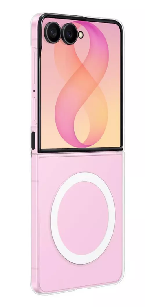 купить Чехол для смартфона Samsung EF-CF776 Galaxy Flip8 Clear Magnet Case в Кишинёве 