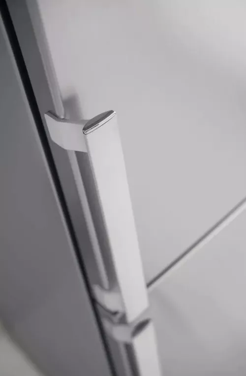 cumpără Frigider cu congelator sus Whirlpool WT70E952X în Chișinău 