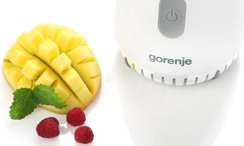 cumpără Blender staționar Gorenje BSM600CLW în Chișinău 