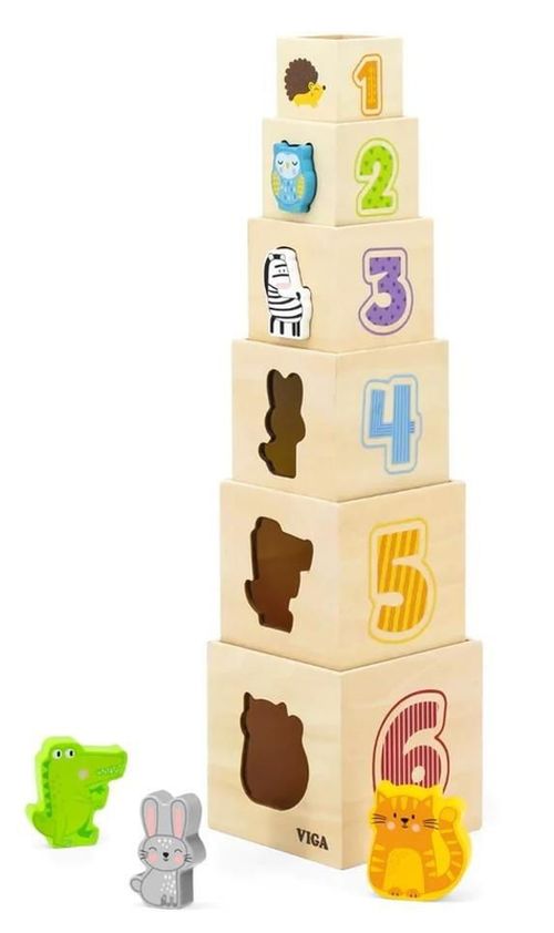 cumpără Jucărie Viga 44572 Piramidă - cuburi din lemn Ne jucăm și învățăm în Chișinău 