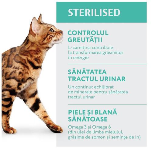 купить Корм для питомцев Optimeal 24231093 Pachet pisici steril curcan-ovaz 1.5 kg в Кишинёве 