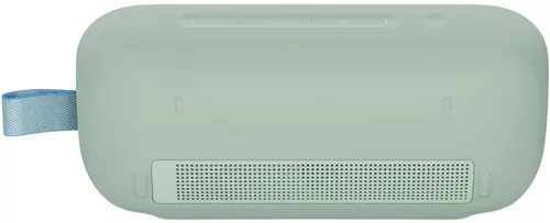 купить Колонка портативная Bluetooth Bose Soundlink Flex 2nd Gen, Alpine Sage в Кишинёве 
