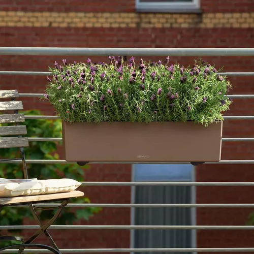 cumpără Ghiveci pentru flori Lechuza Balconera Color 80, Slate în Chișinău 