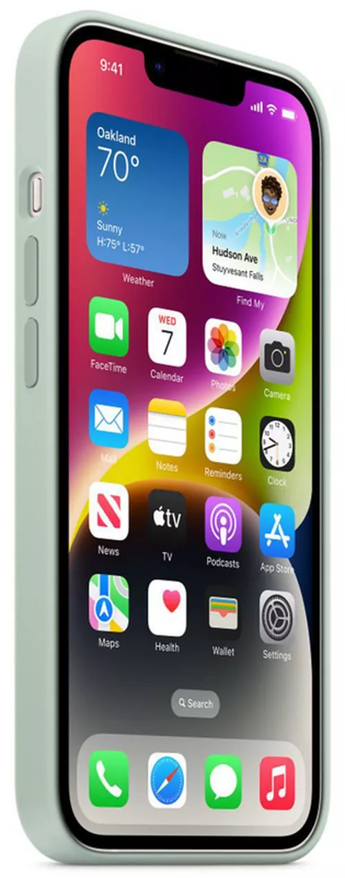 купить Чехол для смартфона Apple iPhone 14 Silicone Case with MagSafe, Succulent MPT13 в Кишинёве 