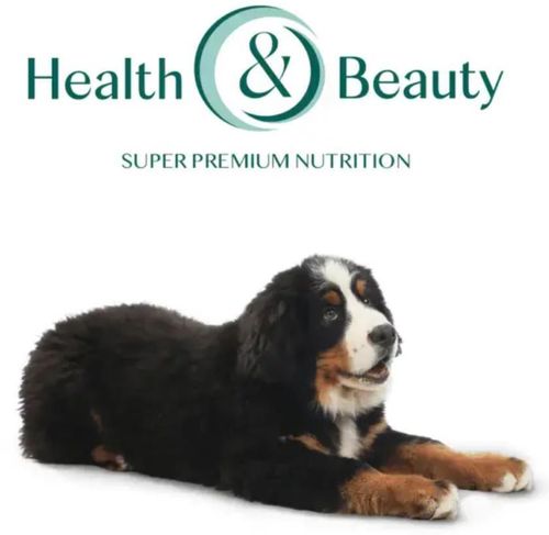 купить Корм для питомцев Optimeal 24231102 Sac caini pui mari curcan 20 kg в Кишинёве 