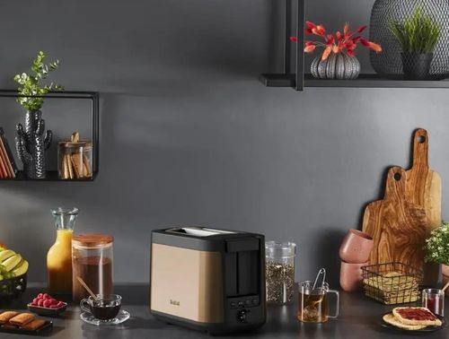 купить Тостер Tefal TT430G10 в Кишинёве 