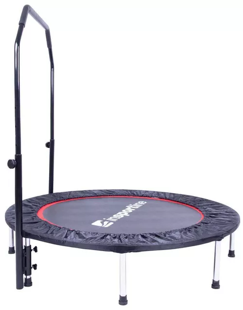 cumpără Trambulină inSPORTline 2739 fitness+maner d=122 cm 12743 Profi în Chișinău 