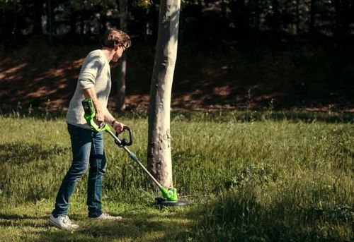 купить Триммер для газона Greenworks G24LT30MK2 в Кишинёве 