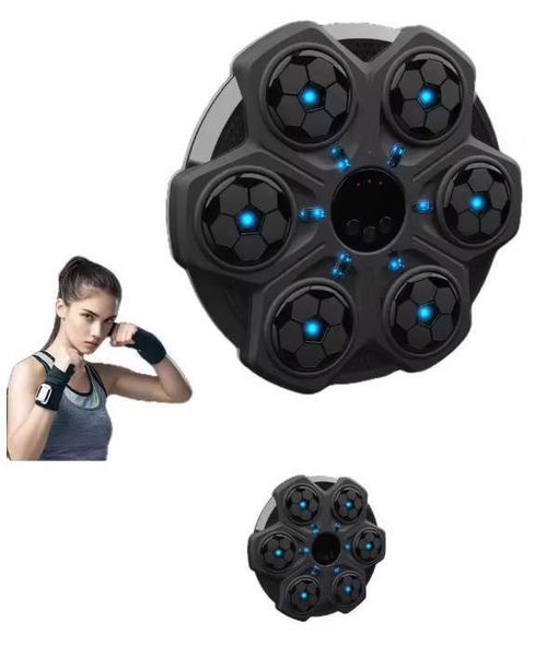 купить Товар для бокса Richi (43453) Набор для бокса на батарейках в Кишинёве 