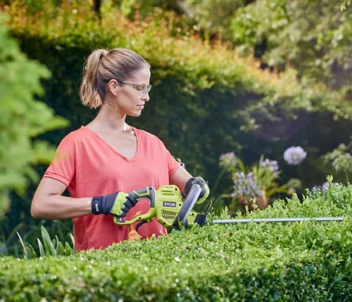 cumpără Foarfece pentru arbuști RYOBI RHT5150 5133002795 în Chișinău 