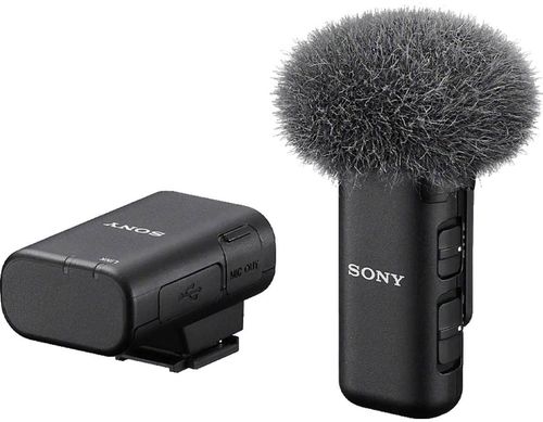 купить Микрофон Sony ECMW3S в Кишинёве 