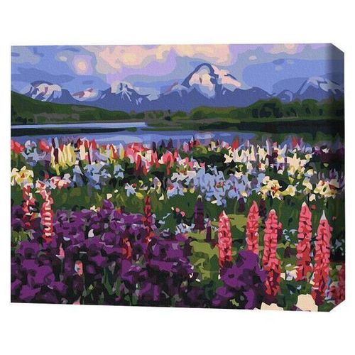 cumpără Tablou pe numere BrushMe BS21019 (în cutie) Valea florilor de câmp în Chișinău 