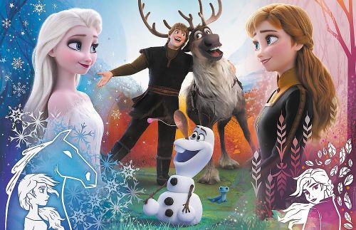 купить Головоломка Trefl 23006 Puzzles - 300 - Magic time / Disney Frozen 2 в Кишинёве 