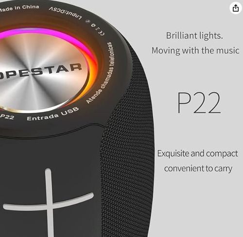 купить Колонка портативная Bluetooth Hopestar P22, 5W, Black в Кишинёве 