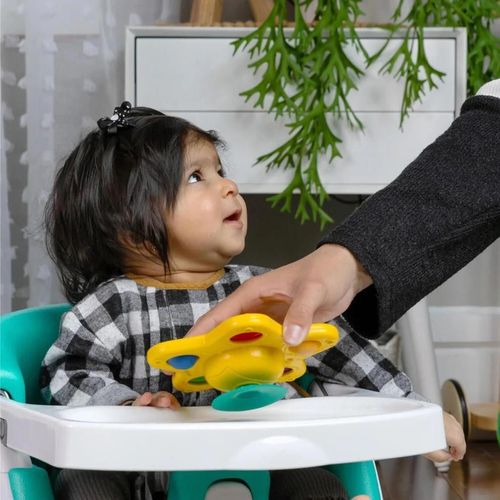 купить Игрушка Baby Einstein 16708 Ocean Explorers Pop&Glow Starfish (luminoasa) в Кишинёве 