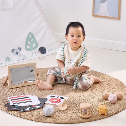 купить Игрушка Viga 44261 Set educativ Crește cu mine (0-6 luni) в Кишинёве 