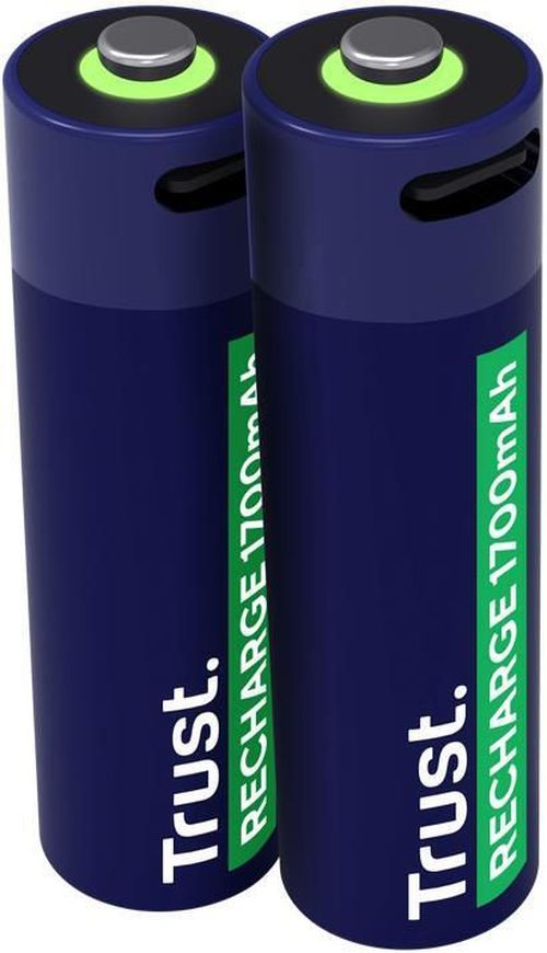 cumpără Acumulator Trust TR25584 USB-C Rechargeable Battery AA 1700 mAh, 2 Pack în Chișinău 