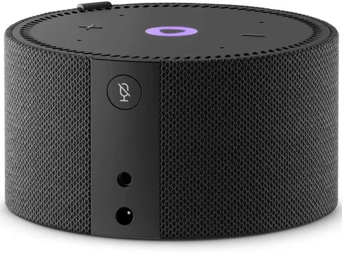 cumpără Boxă portativă Bluetooth Yandex YNDX-00020K Alisa Station Mini Black în Chișinău 