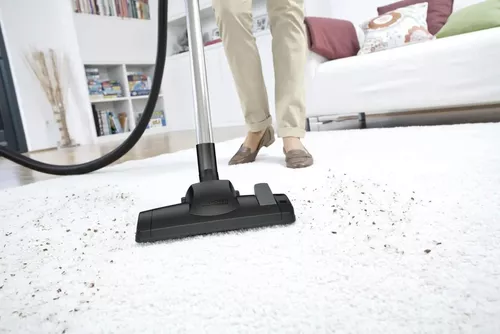 купить Пылесос с водяным фильтром Karcher DS 6 White + WV 1 PLUS White в Кишинёве 