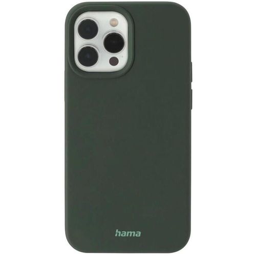 купить Чехол для смартфона Hama 196975 “MagCase Finest Feel PRO Cover for Apple iPhone 13 Pro, green в Кишинёве 