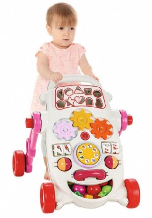 купить Ходунок Pilsan 07539Pink Walker interactiv, roz в Кишинёве 
