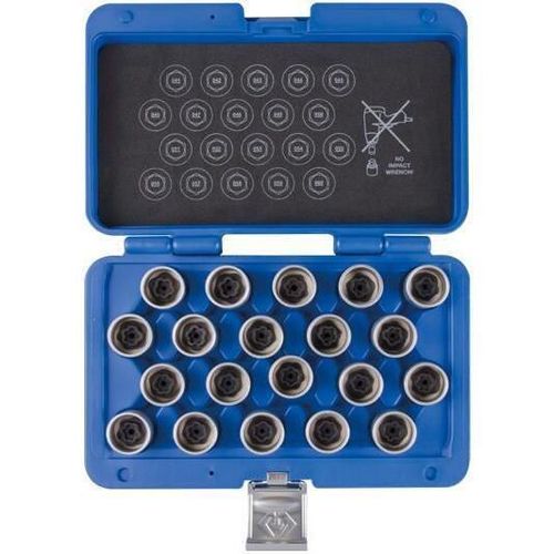 купить Набор головок, бит, насадок King Tony 9BW0220 головки для секреток BMW, 20 предметов в Кишинёве 