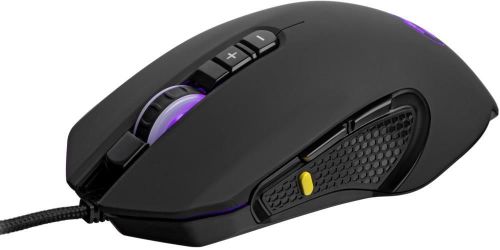 купить Игровая мышь 2E 2E-MG310UB MG310 Black в Кишинёве 