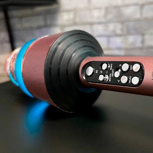 купить Микрофон N-Gear STARMIC100PINK в Кишинёве 