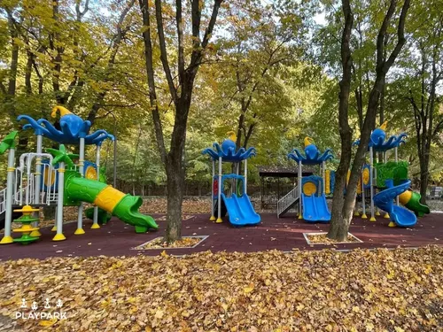купить Детская площадка PlayPark 1137 Миник-103 Детская площадка в Кишинёве 