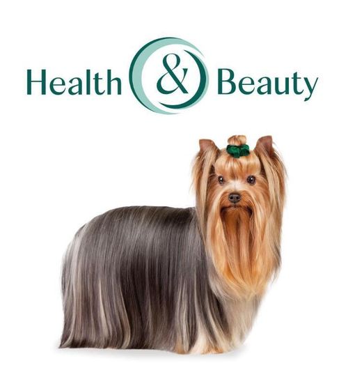 купить Корм для питомцев Optimeal 24231082 Pachet caini mini somon 4 kg в Кишинёве 