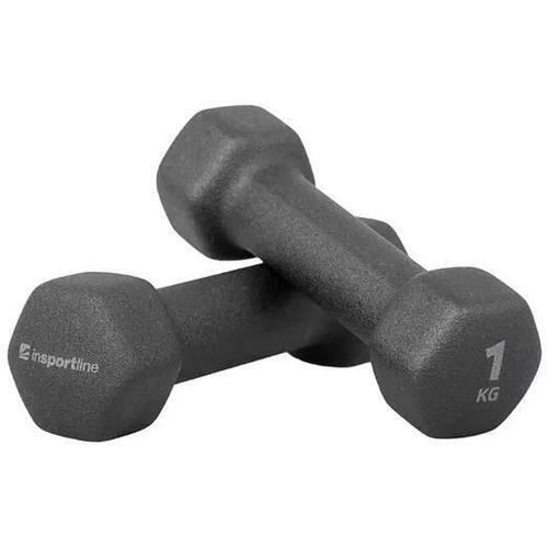 cumpără Ganteră inSPORTline 2963 Set Gantera neopren 2x1kg IN26538 în Chișinău 