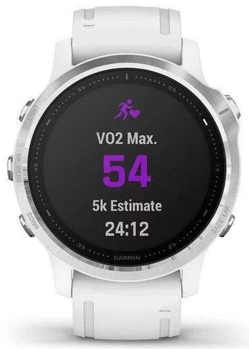 купить Смарт часы Garmin fenix 6S Silver w/White Band в Кишинёве 