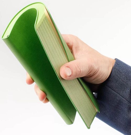 купить Блокнот Akklas Ежедневник недатир. Soft 13x21см, 96 листов, зеленый в Кишинёве 