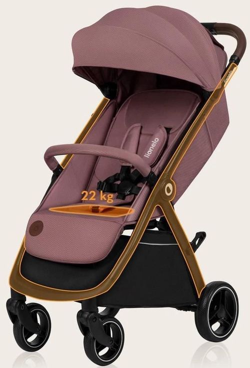купить Детская коляска Lionelo Ingrid Pink Mauve в Кишинёве 