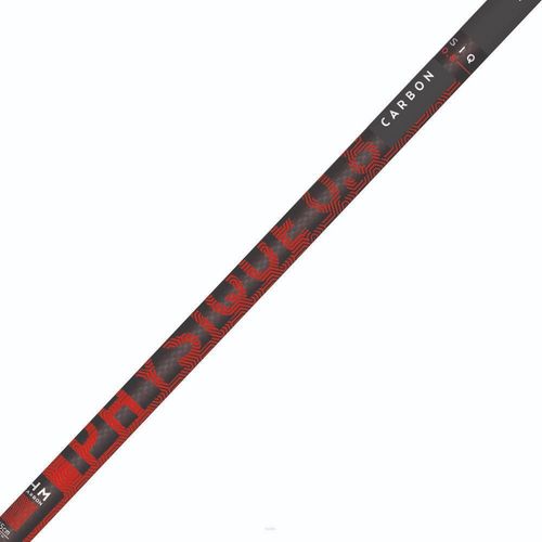 cumpără Bețe pentru trekking Masters NW PHYSIQUE 0.8 Carbon 115cm (01N0119 115) în Chișinău 
