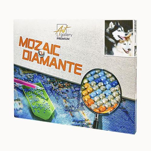 купить Картина по номерам Art Gallery GB75691 Mozaic cu diamante 30x40cm Doi husky в Кишинёве 