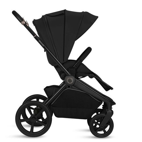 купить Детская коляска Lionelo Carucior 2in1 Freya Black Onyx в Кишинёве 